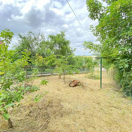 Rez-de-chaussee Saint Marcel Jardin Partage Laon